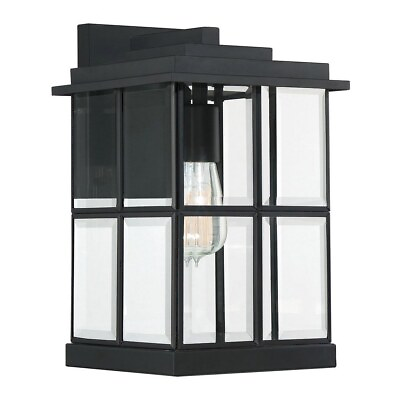 13 Inch Outdoor Wall Lantern Transitional Steel Outdoor Wall Mounts $106.95